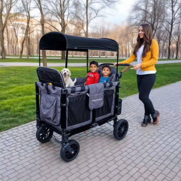 Wonderfold 4-Seater Stroller Wagon rental 