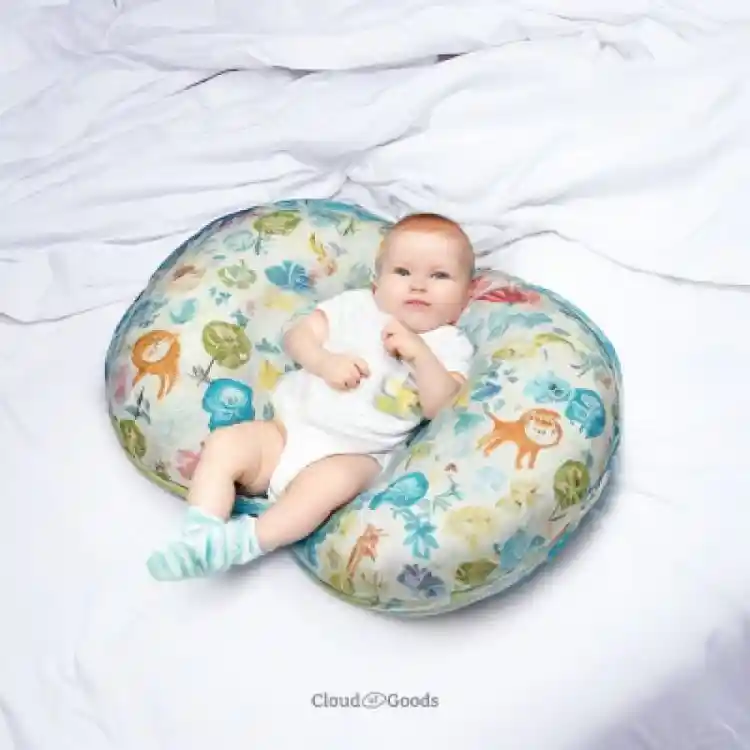 Bobby Pillow rental 