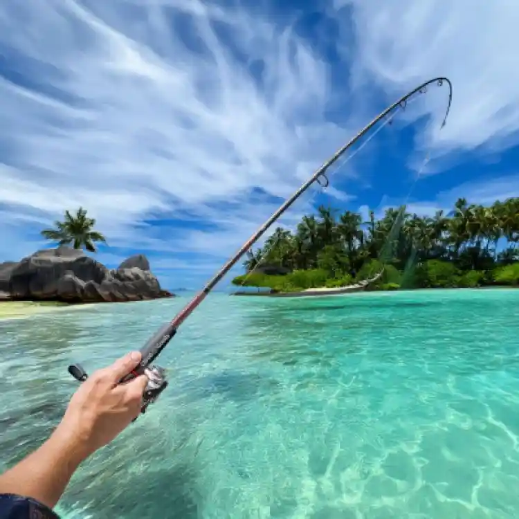 Fishing Rod and Reel rental 