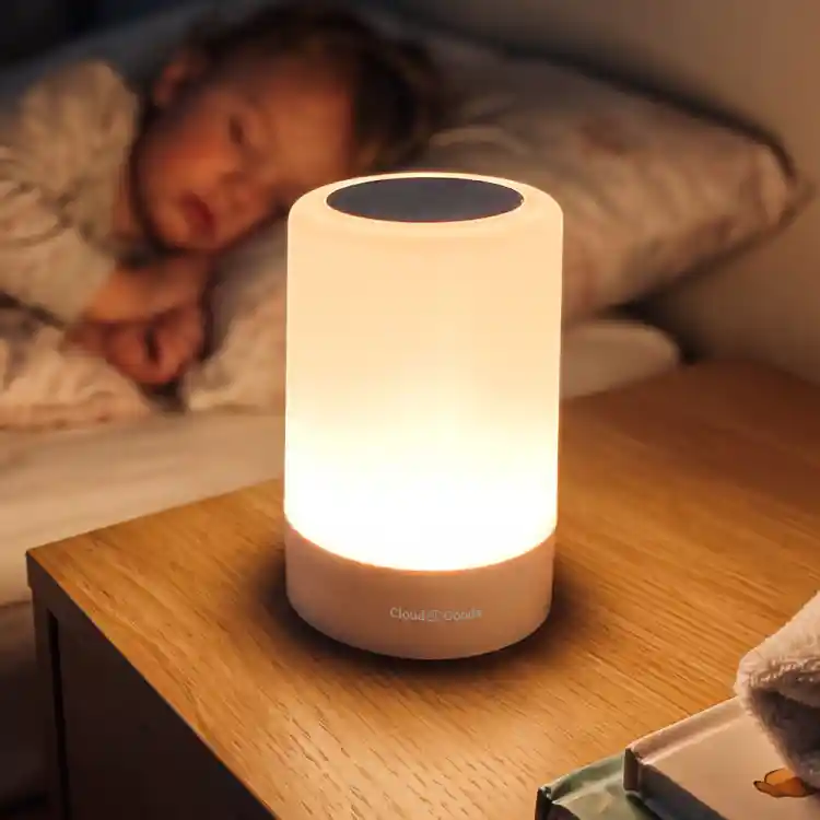 Nursery Night Light rental 