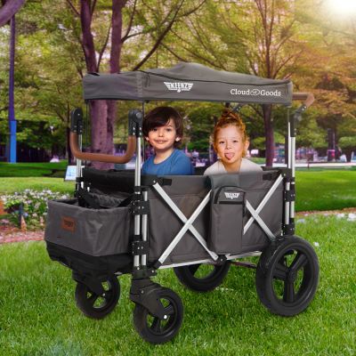 Keenz rental - Wagon Double Stroller rental in South Bend - Cloud of Goods