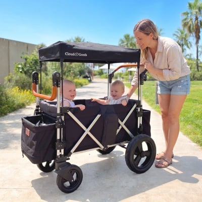 Keenz rental - Wagon Double Stroller