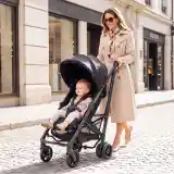 Luxury Standard Stroller
