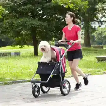 Pet stroller rental Berkeley