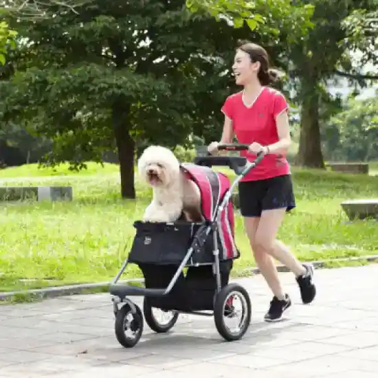 Pet stroller rental in Vancouver Cloud of Goods