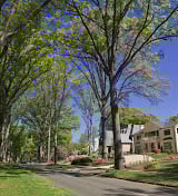 Myers Park Rentals