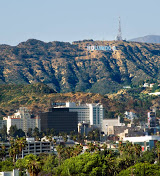Hollywood Hills Rentals