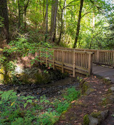 Forest Park Rentals