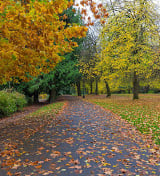 Laurelhurst Rentals