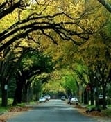 Alquileres de East Sacramento
