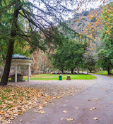 Alquileres de Alum Rock